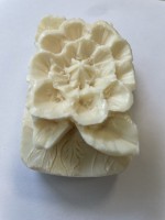 Bild_3.jpg