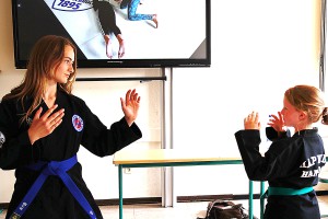 Hapkido. Foto: Karin Leser