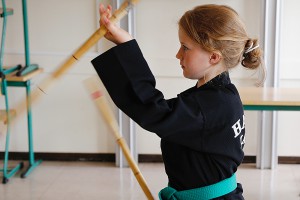 Hapkido. Foto: Karin Leser